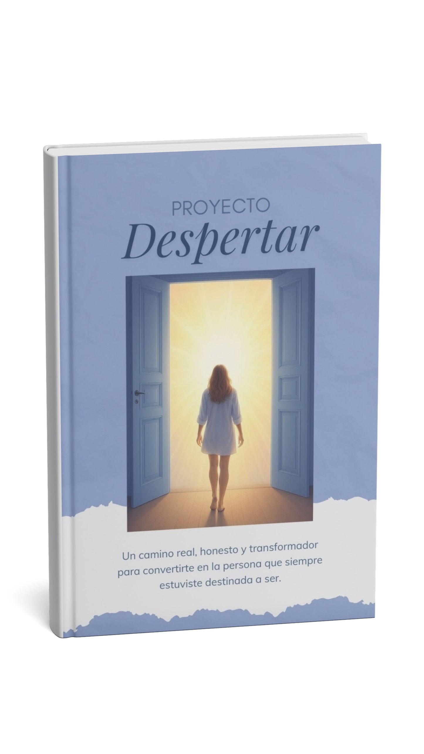 Proyecto Despertar